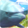 freedolphin